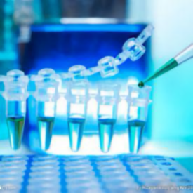 医学考研论坛 头像