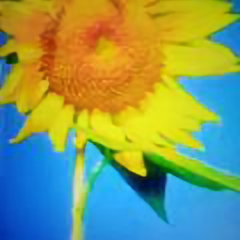 用户葵乐