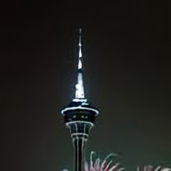 大兴安岭胡杨林 头像