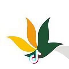 温州亮居装饰有限公司