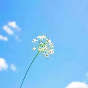 爆笑小咖啡 头像