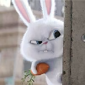 北极熊去了南极 头像