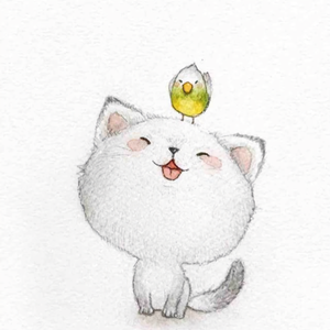 杨小白111 头像