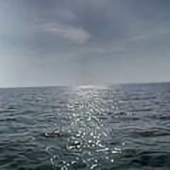 设计师华仔 头像