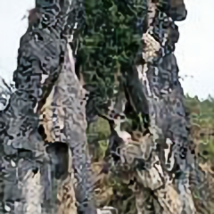 开心就好90588 头像