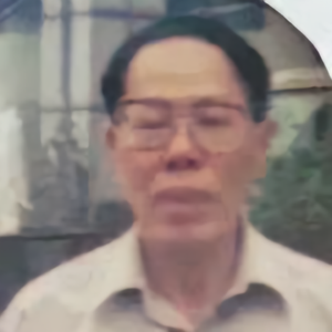 NN梅泠
