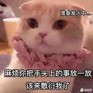 又双叒叕已注册 头像
