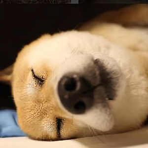 饮水君