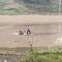 巴蜀合作南部涛哥 头像