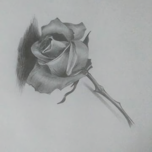 那年今夕528 头像