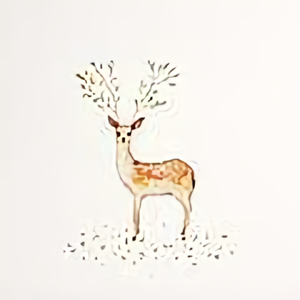 等风吹过林雾时 头像