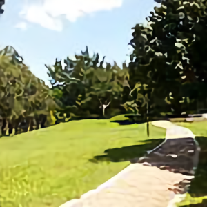 卞人和释道
