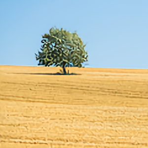 奋发达西9N2 头像