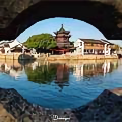 醉卧红尘君 头像