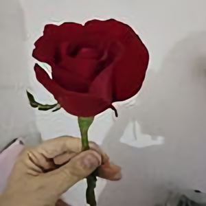 妙旅人生路 头像