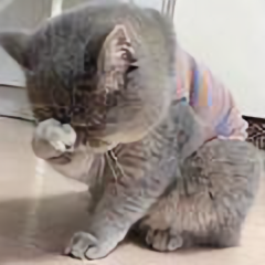 漫画小不点 头像