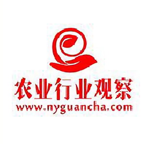 nyguancha头像