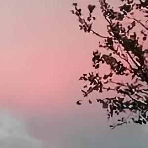 青丝成不了白发 头像