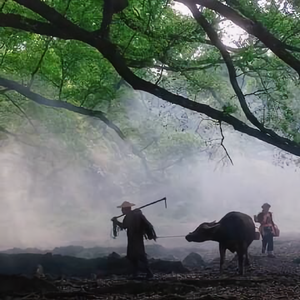 我家大山里头像