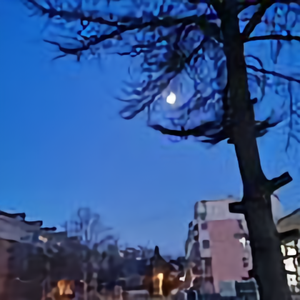 橙汁儿me