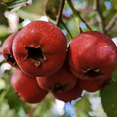 逐梦行实践中 头像