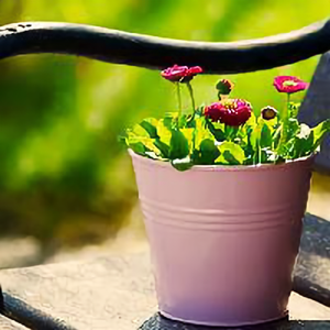 悟空问答 种植生姜出现卷叶和黄叶是什么原因 有什么治理和预防措施 6个回答