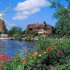 咸鱼随便玩 头像