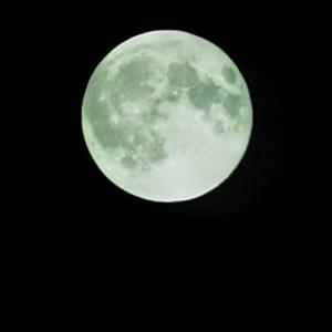 使徒（魔兽世界玩家） 头像