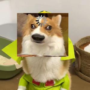 蛋蛋红如温ik 头像