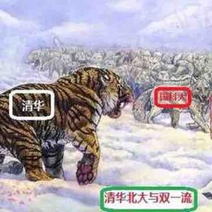 启明星教育头像