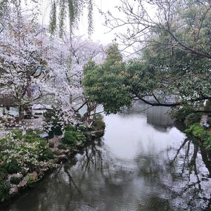 草根平凡的日子 头像