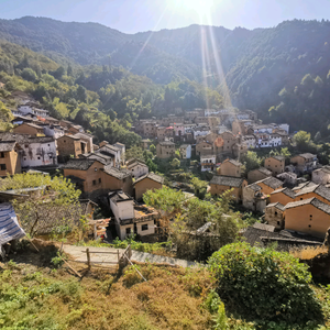 梅旭生活馆 头像