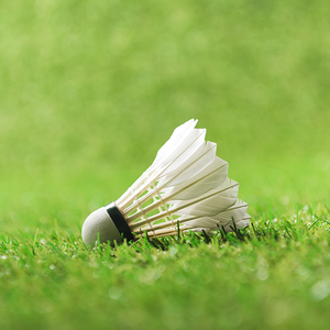 小鱼趣侃历史 头像