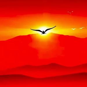 教育探微1265 头像