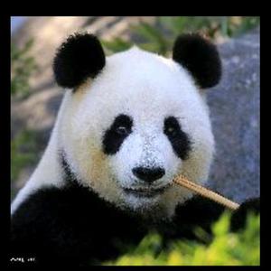 藏在岁月里的故事 头像