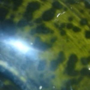 瓷皇艺术馆 头像