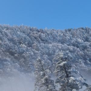 双手插兜，谁也不爱 头像