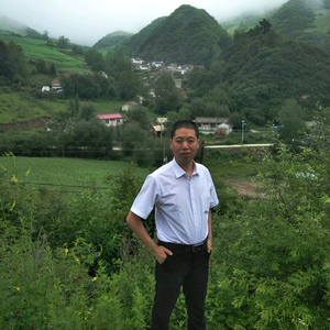 当归村新农哥