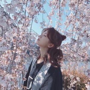 青鸟青清 头像