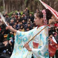 闻香识女人日本头像