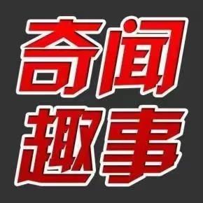 奇闻趣事ge 头像