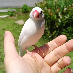 阿健的宠物园头像