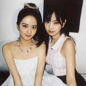 小熊饼干又白给了…… 头像