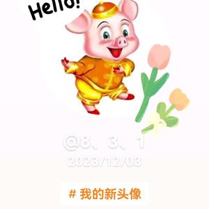 乐天派风声头像