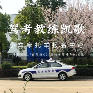 驾考教练凯歌 头像