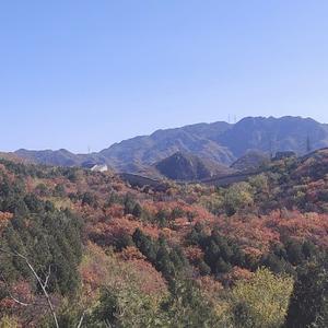 高贵豆花V6 头像