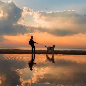 田峰讲人力 头像