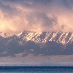 清风明月K9 头像