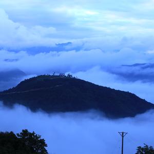 聴风観雨 头像