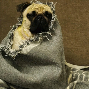 老一生活笔记 头像